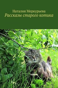 Рассказы старого котика