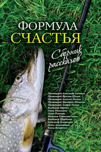 Формула счастья. Сборник рассказов