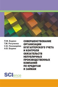 Совершенствование организации бухгалтерского учета и контроля обязательств непубличных производственных компаний по кредитам и займам