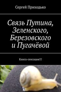 Связь Путина, Зеленского, Березовского и Пугачёвой. Книга-сенсация!!!