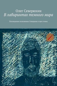 В лабиринтах темного мира. Похождения полковника Северцева в трех томах