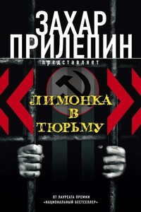 «Лимонка» в тюрьму (сборник)