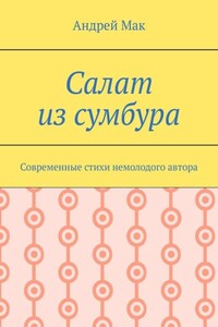 Салат из сумбура. Современные стихи немолодого автора