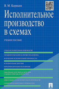 Исполнительное производство в схемах. Учебное пособие