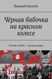 Чёрная бабочка на красном колесе. Разные судьбы – разная правда