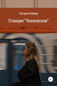 Станция «Чкаловская»