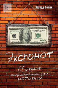 Экспонат. Сборник непредумышленных историй