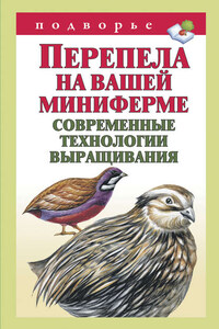 Перепела на вашей миниферме. Современные технологии выращивания