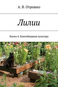 Лилии. Книга 4. Контейнерная культура