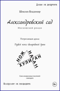 Александровский сад. Московский роман