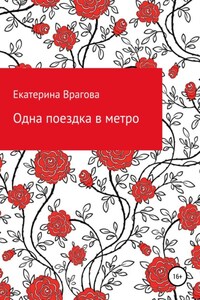 Одна поездка в метро