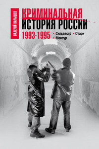 Криминальная история России. 1993–1995. Сильвестр. Отари. Мансур