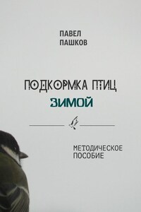 Подкормка птиц зимой