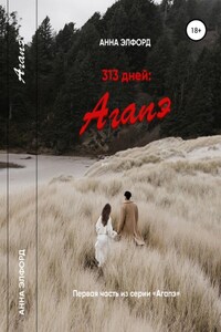 313 дней: Агапэ