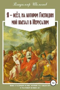 Я ─ осёл, на котором Господин мой въехал в Иерусалим