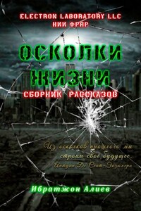 Осколки жизни. Сборник рассказов