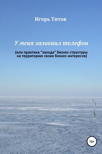 У меня зазвонил телефон, или Практика «захода» бизнес-структуры на территорию своих бизнес-интересов