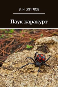 Паук каракурт