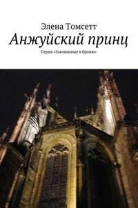 Анжуйский принц. Серия «Закованные в броню»