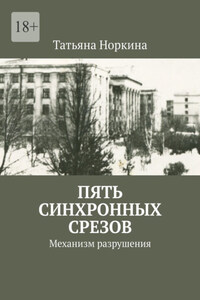 Пять синхронных срезов. Механизм разрушения