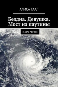 Бездна. Девушка. Мост из паутины. Книга первая