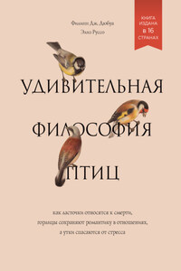 Удивительная философия птиц. Как ласточки относятся к смерти, горлицы сохраняют романтику в отношениях, а утки спасаются от стресса