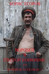 Воробей в пустой конюшне, или Исповедь раздолбая – 2