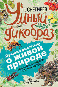 Умный дикобраз. С вопросами и ответами для почемучек