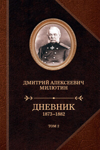 Дневник. 1873–1882. Том 2