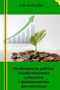 Особенности работы хозяйствующих субъектов с финансовыми институтами