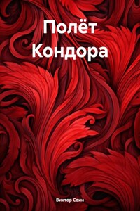 Полёт Кондора