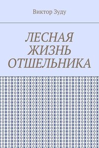 Лесная жизнь отшельника. Книга 5. Второй вариант вознесения