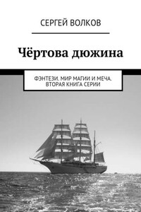 Чёртова дюжина. Фэнтези. Мир магии и меча. Вторая книга серии