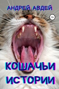 Кошачьи истории