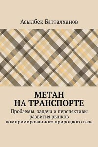 Метан на транспорте. Проблемы, задачи и перспективы развития рынков компримированного природного газа