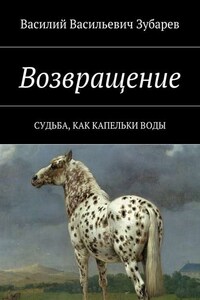 Возвращение. Судьба, как капельки воды