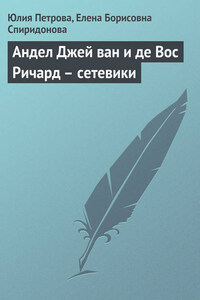 Андел Джей ван и де Вос Ричард – сетевики