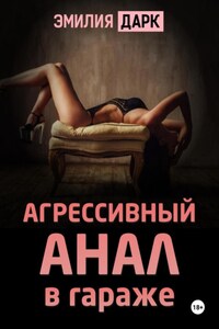 Агрессивный анал в гараже