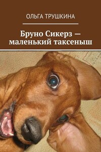 Бруно Сикерз – маленький таксеныш. Истории и сказки одной хитрой таксы