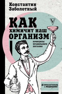 Как химичит наш организм: принципы правильного питания