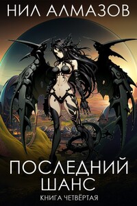 Последний шанс. Книга 4