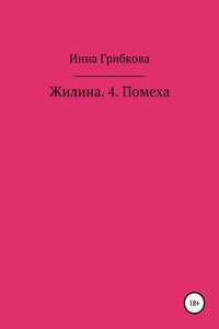 Жилина 4. Помеха