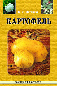 Картофель