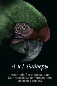 Женитьба Стратонова, или Сентиментальное путешествие невесты к жениху (сборник)