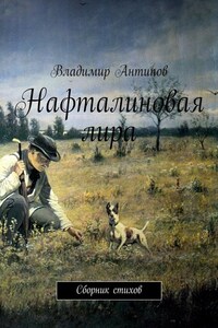 Нафталиновая лира. Сборник стихов