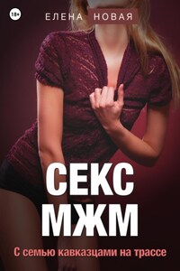 Секс МЖМ. С семью кавказцами на трассе, Елена Новая – слушать онлайн или скачать mp3 на ЛитРес