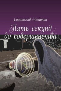 Пять секунд до совершенства