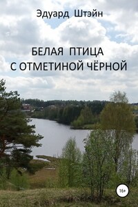 Белая птица с отметиной чёрной