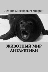 Животный мир Антарктики