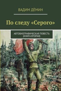 По следу «Серого». Автобиографическая повесть (книга вторая)